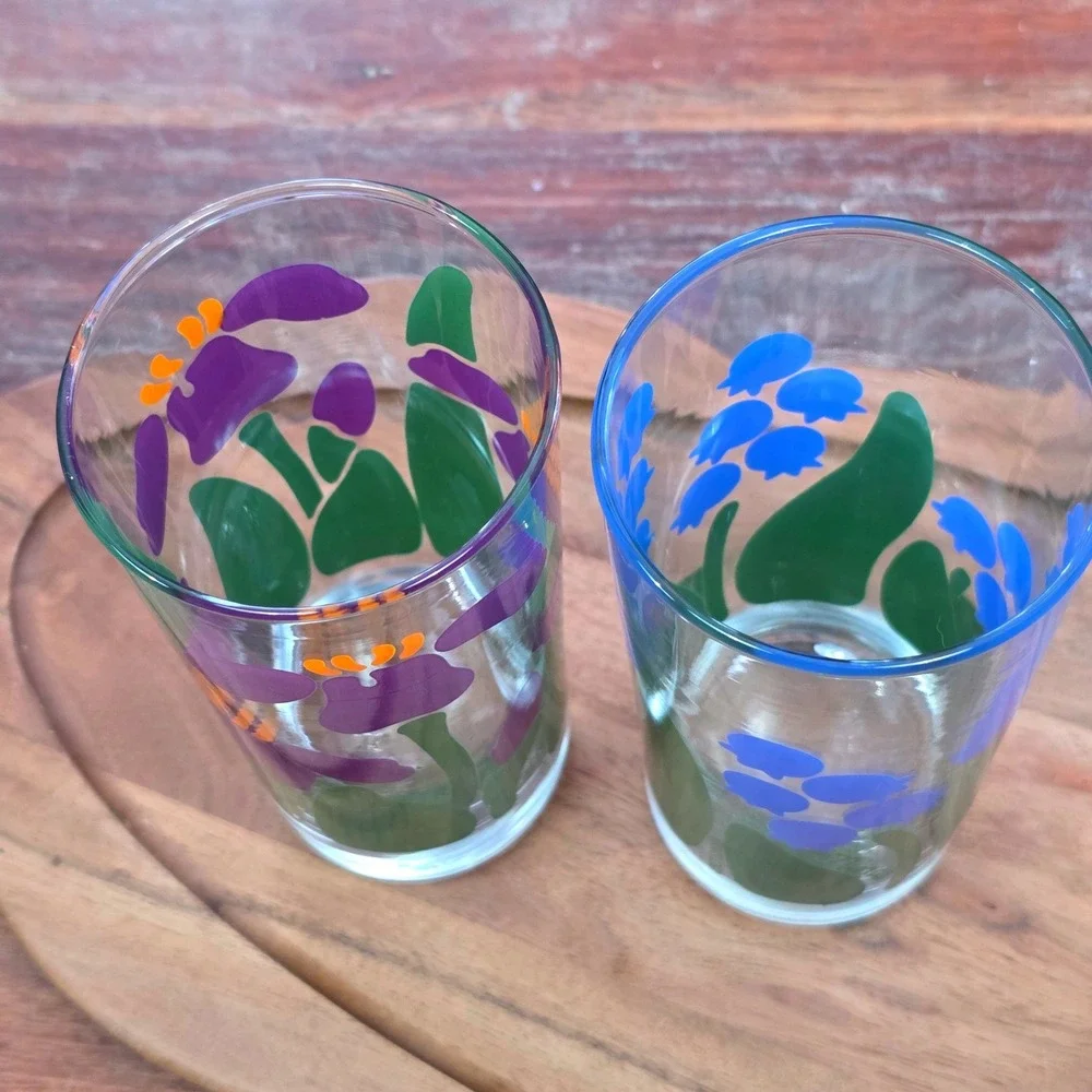 Vintage 1983 Nina Greenhouse Collection Floral Glasses Set of 2 Iris Bluebells